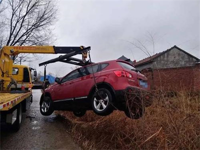 桑植楚雄道路救援